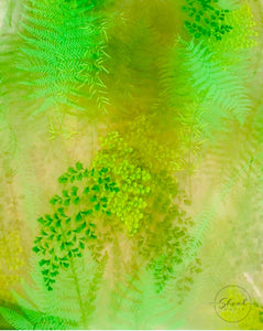 Botanical green Florist Cellophane film wrap