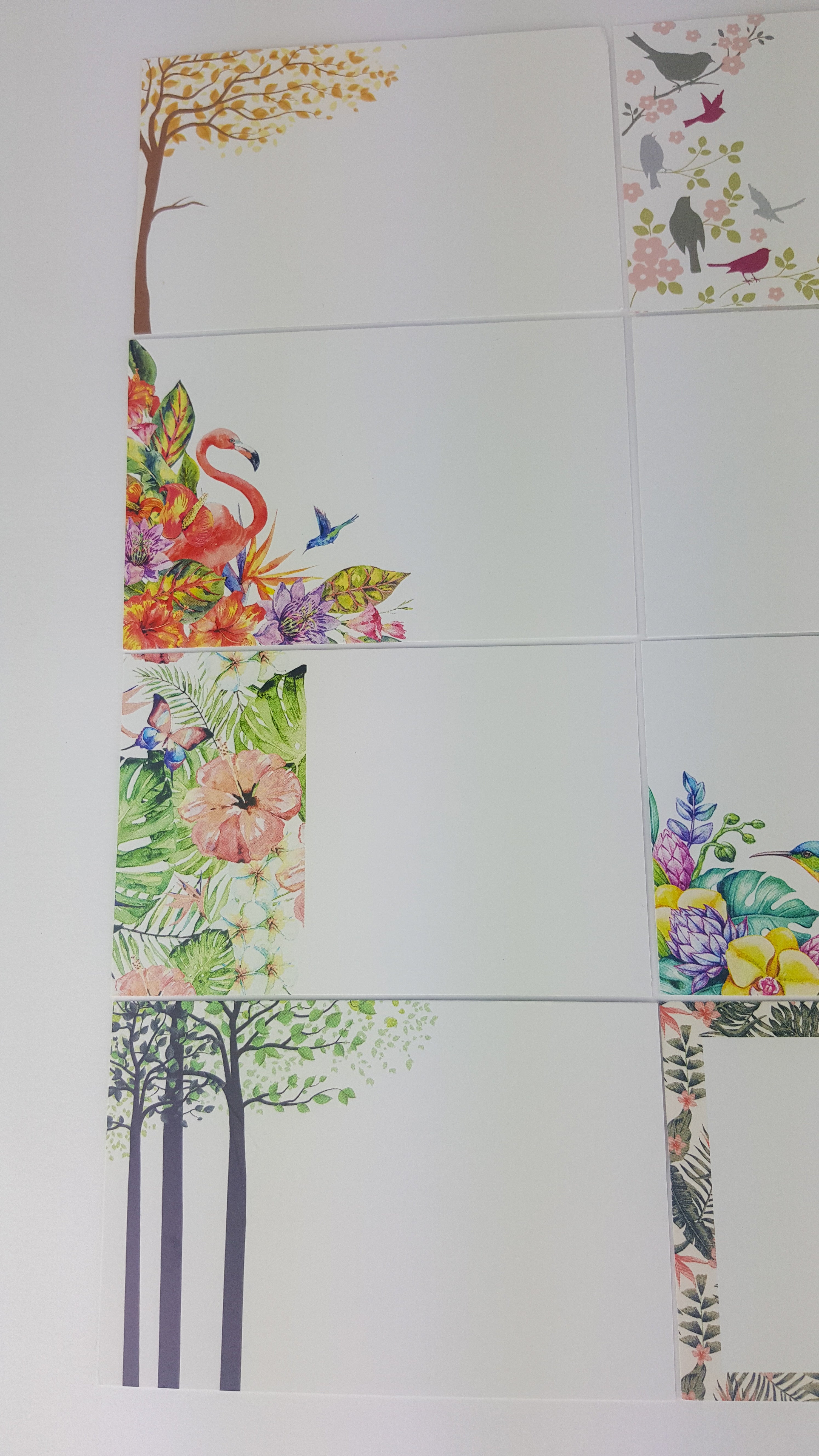 Botanical (Pack of 12) Floristry Cards