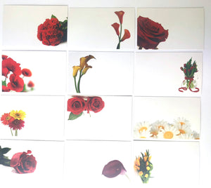 Reds (Pack of 12) Floristry Cards