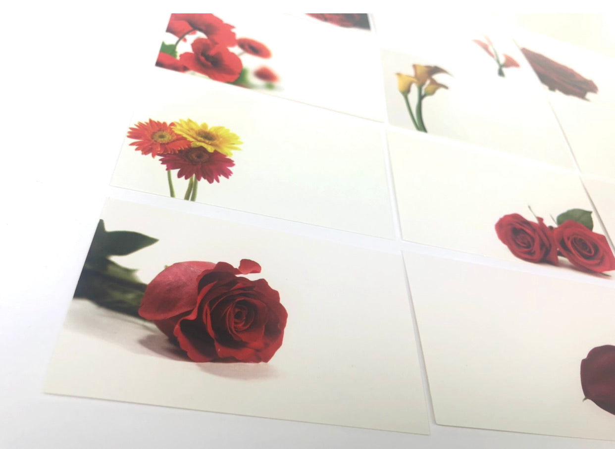 Reds (Pack of 12) Floristry Cards
