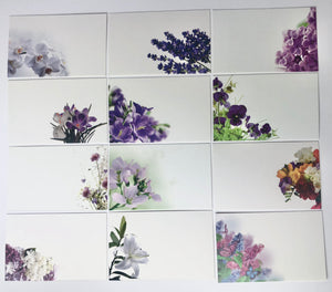 Purples & Lilacs (Pack of 12) Floristry Cards