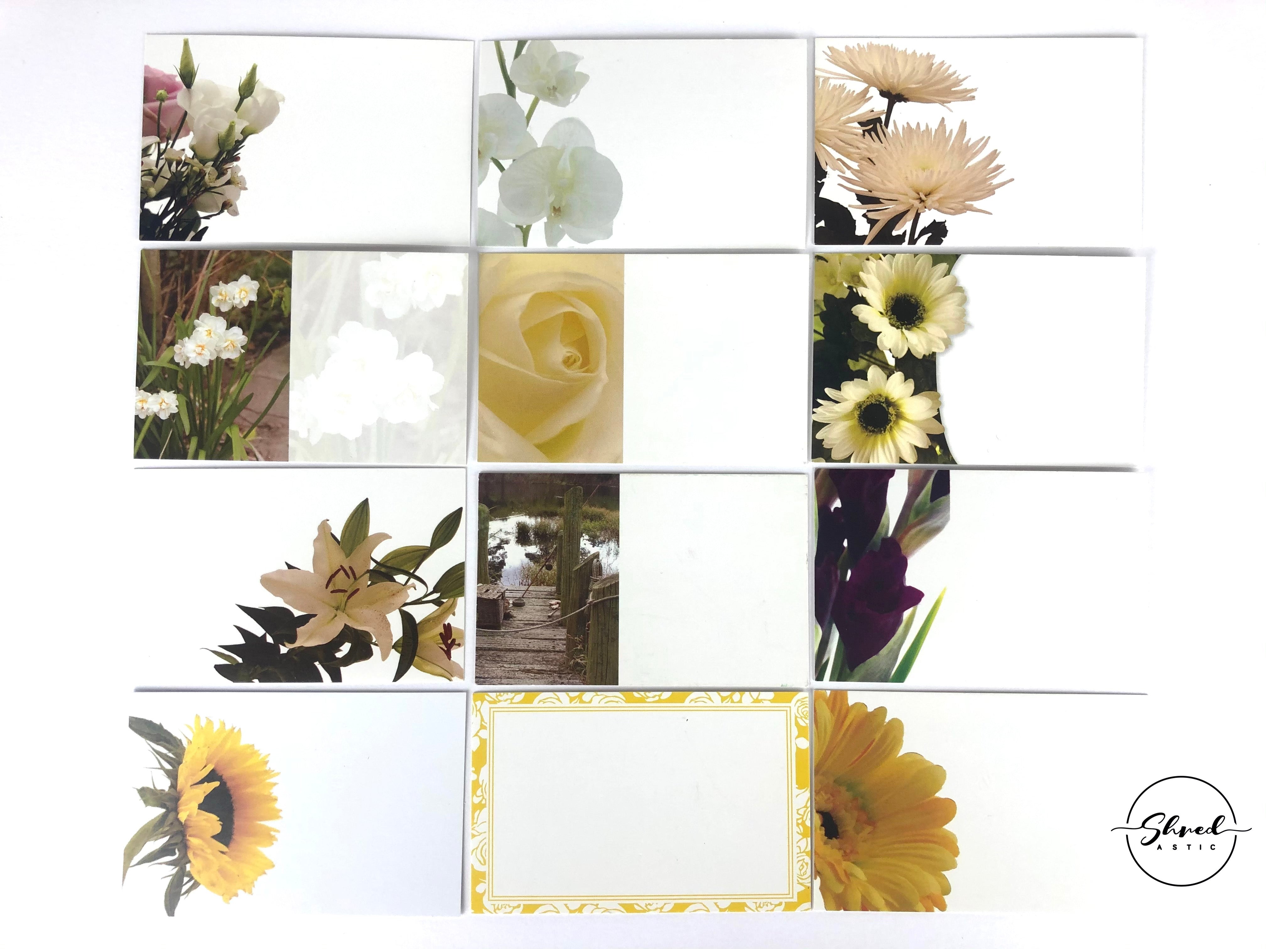 New Spring/Summer (Pack of 12) Floristry Cards