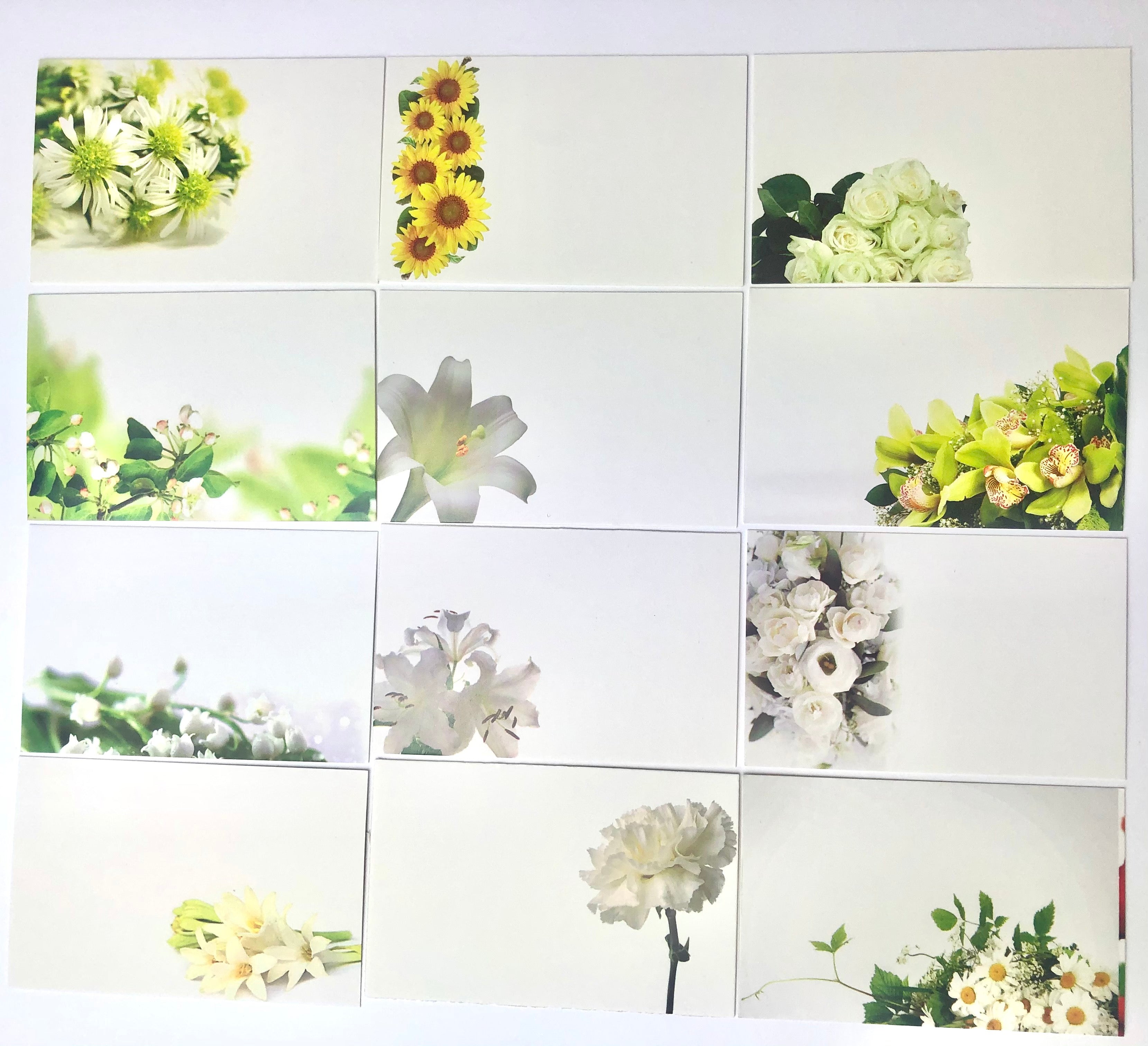 Neutral Florals (Pack of 12) Floristry Cards